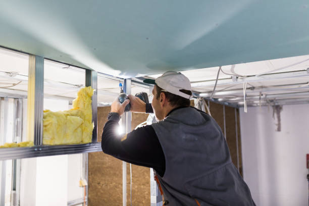Best Insulation Removal  in Spring Mount, PA