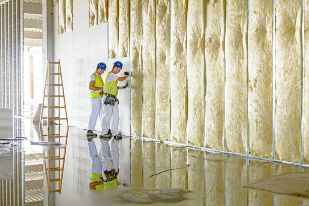 Best Insulation Inspection Services  in Spring Mount, PA